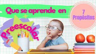 ¿Qué se aprende en preescolar? Propósitos de la educación preescolar  