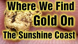 Where we find gold on the Sunshine Coast Queensland.