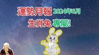 生肖兔，2024年6月運勢！運勢月報提前到！快看看，提前掌握你自己的運程！ #生肖兔2024年運勢 #生肖兔2024年運程 #屬兔人2024年運程 #屬兔人2024年運勢