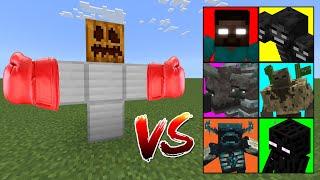 The Boxer Golem vs Minecraft Mobs