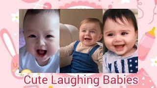 Cute  Baby Laughing Compilation  Cute Baby Laughing Hysterically  Cute 