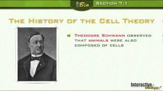 The Discovery of Cells