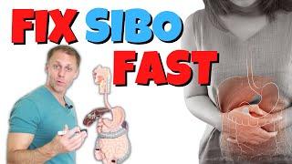How to Fix SIBO Fast Small Intestinal Bacterial Overgrowth