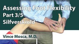 Assessing Foot Flexibility Part 03 Silfverskiold