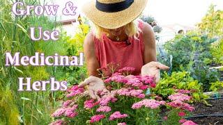 Grow Medicinal Herbs for the Garden & Homestead