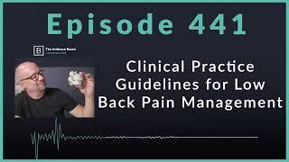 Recent Low Back Pain Guidelines Good News for Chiropractors  Podcast Ep. 441