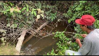 Mancing di bawah kayu yang melintang. Ternyata ada ikan besar nya mas bro