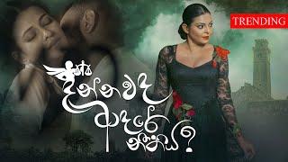 Dannawada Adare Neethiya  දන්නවද ආදරේ නීතිය  Abhisheka Wimalaweera  Official Music Video