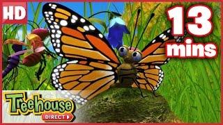 Miss Spider The Befuddled Butterfly - Ep.40B  HD Cartoons