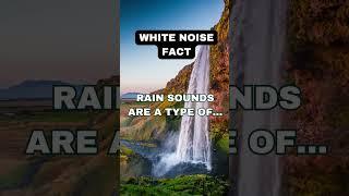 Rain Sounds Are... #youtubeshorts #rain