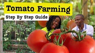 A Step-by-Step Plan for Profitable Tomato from scratch how to start tomatoes farming from start