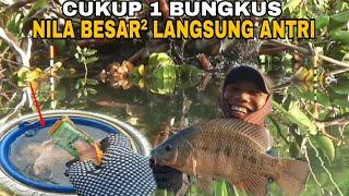 HARUS DI COBA  Campuran Lumut Paling Ampuh Untuk Mancing Nila BESAR²