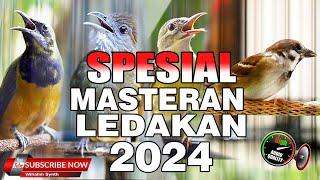 MASTERAN SPESIAL LEDAKAN 2024 KOMPILASI MEWAH UNTUK SEMUA JENIS BURUNG MURAI BATU DAN CUCAK IJO 