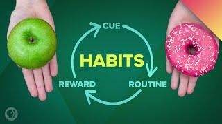 How Habits Can Change Your Life and Your Brain