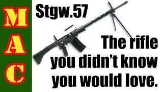 The ugliest rifle you didnt know you would love - Stgw.57  PE57