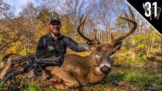 INDIANA PUBLIC LAND CHALLENGE - Day 4 Big 8 Pointer Goes Down  Bowhunting Rutting Bucks