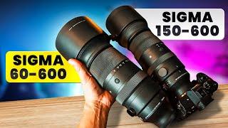 Sigma 60-600mm vs 150-600mm Which is Worth It?  Wildlife Photography