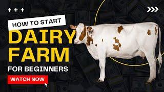 How to Start Dairy Farming for Beginner  Cow Farming Guide - Everything You Need to Know