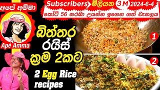 බිත්තර රයිස් රසට හදන ක්‍රම 2ක් Egg fried rice 2 ways by Apé Amma