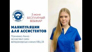 Манипуляции для ассистентов  Ветеринарная школа