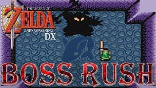 The Legend of Zelda Links Awakening - Boss Rush No Damage