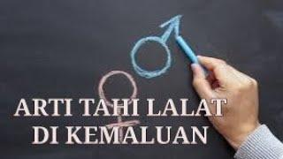 ARTI TAHI LALAT DI KEMALUAN - BENARKAH TANDA PERKASA DAN BERNAFSU BESAR??