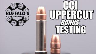 CCI UPPERCUT .22lr Self Defense JHP  BONUS TESTING