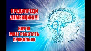 Останови деменцию - что ускоряет старение мозга и как это исправить