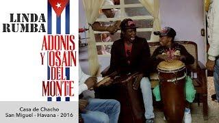 Linda Rumba - Osain del Monte