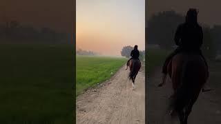 Punjab girl horse ride indian girl horse ride #horsegirl #ghoda #horse #horselover #horses #ghodi