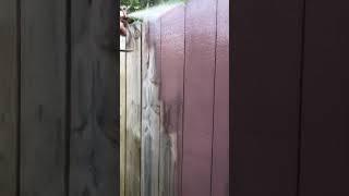 How to stain a fence with semitransparent stain