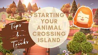 Where to Start on Your Animal Crossing Island — Tips and Tricks  Animal Crossing New Horizons