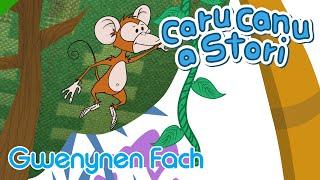 Caru Canu a Stori  Gwenynen Fach Welsh Childrens Song & Story