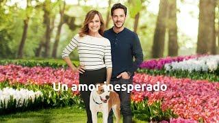 Un amor inesperado 2.019 HDTVRip Español Castellano