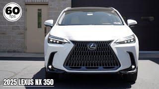 2025 Lexus NX 350 Review  The BEST Subcompact Luxury SUV?