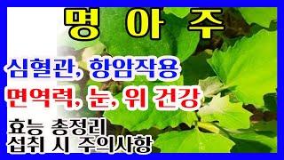 명아주효능 총정리명아주나물 효능 먹는법부작용️ 심혈관  암예방  눈건강 뼈건강 노화예방 뛰어난 명아주효능️#명아주효능 #명아주먹는법 #명아주부작용