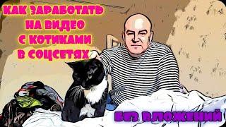 Неудобная правда про заработок в соцсетях. Можно ли заработать на видео со своей кошкой?