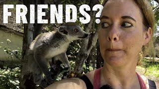 I get LOVE ATTACKED by the MADAGASCAR WILDLIFE S7-E97