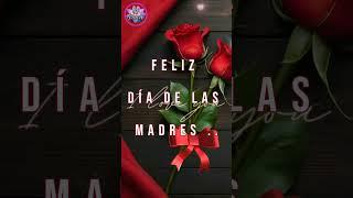 FELIZ DIA DE LAS MADRES 