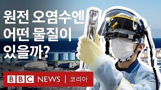 일본 후쿠시마 원전 오염수 해양 방류 과연 안전할까? - BBC News 코리아