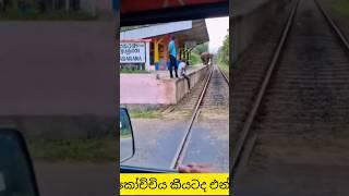 කෝච්චිය කීයටද එන්නේ  An elephant is waiting for the train to arrive