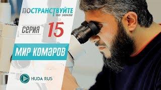 Мир комаров. Научное исследование комара  Постранствуйте по земле #15