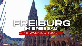 Freiburg im Breisgau Germany 4K Walking Tour  Jewel of the Black Forest