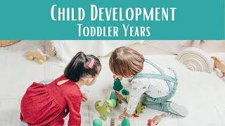 Child Development 101 Parenting Toddlers