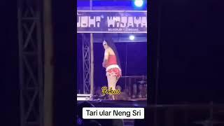 lagi viral sang penari