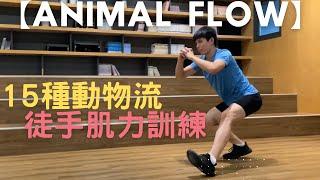 15種【動物流】徒手肌力訓練  15 Animal Flow  No Equipment workout
