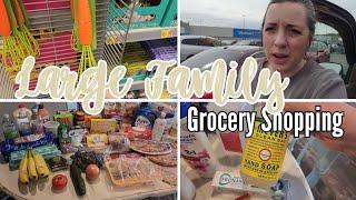 Grocery Shopping for My Large Family  Walmart Grocery Haul