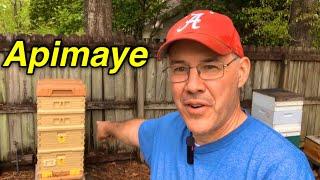 APIMAYE  World’s Coolest BEEHIVE? How are the bees doing? unexpected result