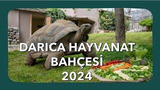 Darıca Hayvanat Bahçesi Gezisi 2024