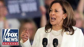 CNN pollster warns Kamala cannot take this for granted